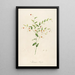 Description of rare cultivated plants at Malmaison and Navarre Pl35 - Pierre Joseph Redouté — framed artwork on a wall