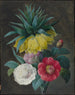 Four Peonies and an Imperial Crown - Pierre-Joseph Redouté — artwork view
