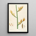 Les liliacées Pl28 - Pierre Joseph Redouté — framed artwork on a wall