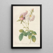 Rosa Damascena Celsiana Prolifera - Pierre Joseph Redouté | Painting — framed artwork on a wall