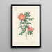 Rosa Eglanteria Sub Rubra - Pierre Joseph Redouté — framed artwork on a wall