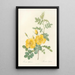 Rosa Eglanteria - Pierre Joseph Redouté — framed artwork on a wall