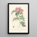 Rosa Lucida - Pierre Joseph Redouté — framed artwork on a wall
