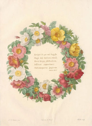 Pierre Joseph Redout - Rosier du Bengale.webp