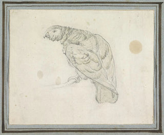 Parrot Painting - Pieter Casteels III — artwork view
