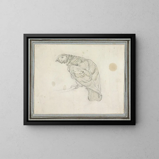 Parrot Painting - Pieter Casteels III — framed artwork on a wall