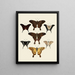 Butterflies from abroad present on the three continents Asia, Africa, and America pl008 - Pieter Cramer — framed artwork on a wall