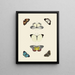 Butterflies from other countries present on the three continents Asia, Africa, and America pl009 - Pieter Cramer — framed artwork on a wall