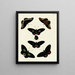 Butterflies from Asia, Africa, and America on three continents pl019 - Pieter Cramer — framed artwork on a wall