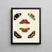Butterflies from abroad present on the three continents Asia, Africa, and America pl020 - Pieter Cramer — framed artwork on a wall