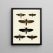 Butterflies from different countries present on the three continents Asia, Africa, and America pl024 - Pieter Cramer — framed artwork on a wall