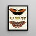 Butterflies from other countries present on the three continents Asia, Africa, and America pl025 - Pieter Cramer — framed artwork on a wall