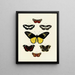 Butterflies from abroad present on the three continents Asia, Africa, and America pl027 - Pieter Cramer — framed artwork on a wall