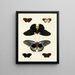 Butterflies from Asia, Africa, and America on three continents pl029 - Pieter Cramer — framed artwork on a wall