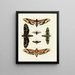 Butterflies from Asia, Africa, and America on the three continents pl031 - Pieter Cramer — framed artwork on a wall