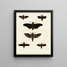 Butterflies from abroad present on the three continents Asia, Africa, and America pl032 - Pieter Cramer — framed artwork on a wall
