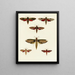 Butterflies from different countries present on the three continents Asia, Africa, and America pl033 - Pieter Cramer — framed artwork on a wall