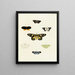 Butterflies from different countries present on the three continents Asia, Africa, and America Pl035 - Pieter Cramer — framed artwork on a wall