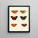 Butterflies from different countries present on the three continents Asia, Africa, and America Pl042 - Pieter Cramer — framed artwork on a wall