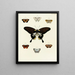 Papillons étrangers présents sur les trois continents Asie Afrique et Amérique Pl050 - Pieter Cramer — framed artwork on a wall