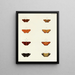 Butterflies from different countries present on the three continents Asia, Africa, and America Pl078 - Pieter Cramer — framed artwork on a wall
