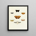 Butterflies from different countries present on the three continents Asia, Africa, and America Pl094 - Pieter Cramer — framed artwork on a wall