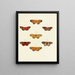 Butterflies from abroad present on the three continents Asia Africa and America Pl104 - Pieter Cramer — framed artwork on a wall