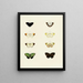 Papillons étrangers présents sur les trois continents Asie Afrique et Amérique Pl105 - Pieter Cramer — framed artwork on a wall