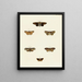 Butterflies from different countries present on the three continents Asia, Africa, and America Pl114 - Pieter Cramer — framed artwork on a wall