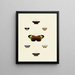 Butterflies from different countries present on the three continents Asia, Africa, and America Pl125 - Pieter Cramer — framed artwork on a wall