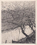Apple Trees by a Ditch - Pieter Dupont — artwork view