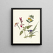 Wildflower Studies - Pieter Ernst Hendrik Praetorius — framed artwork on a wall