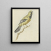 Loriot jaune Icterus nigrogularis - Pieter Gevers — framed artwork on a wall