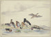 Eight ducks of different species by the water - Pieter Holsteijn — artwork view