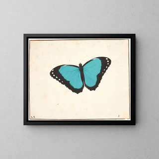 An Exotic - Pieter Holsteijn — framed artwork on a wall