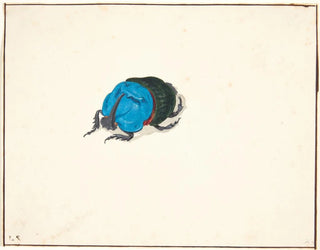 In the city of rhinoceros scarabs - Pieter Holsteijn — artwork view
