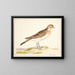 a wild boar and skylark painting - Pieter Holsteijn — framed artwork on a wall
