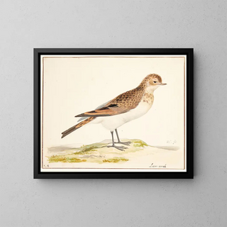 a wild boar and skylark painting - Pieter Holsteijn — framed artwork on a wall