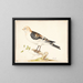 A snow bunting - Pieter Holsteijn — framed artwork on a wall
