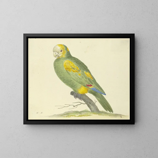 Green Parrot Painting - Pieter Holsteijn — framed artwork on a wall