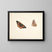 Study of a Butterfly of Time, Vanessa cardui - Pieter Holsteijn — framed artwork on a wall