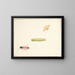 Three studies of insects - Pieter Holsteijn — framed artwork on a wall
