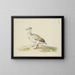 White Goose with Brown Wings, Red Beak and Legs - Pieter Holsteijn — framed artwork on a wall