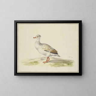 White Goose with Brown Wings, Red Beak and Legs - Pieter Holsteijn — framed artwork on a wall