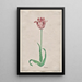 Study of a Tulip Anvaers - Pieter Holsteyn II — framed artwork on a wall