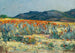 Spring in Namaqualand - Pieter Hugo Naudé — artwork view