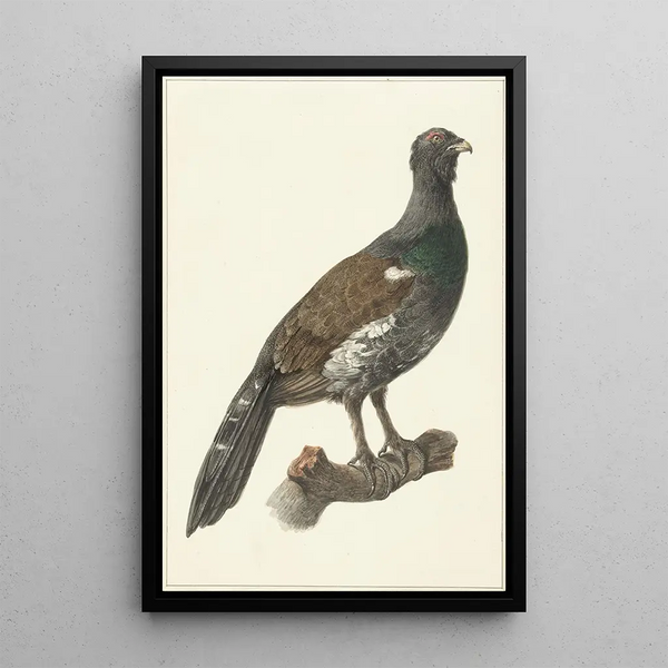 Grand Capercaillie Painting - Pieter Pietersz Barbiers — framed artwork on a wall