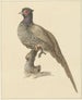 Hunting pheasant - Pieter Pietersz. Barbiers — artwork view