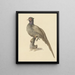 Hunting pheasant - Pieter Pietersz. Barbiers — framed artwork on a wall