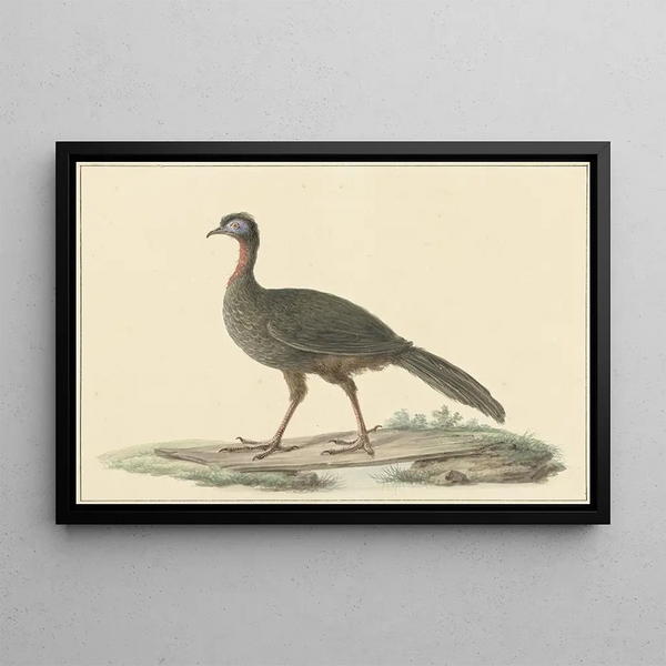 Marailjakohoen Pénélope Marail - Pieter Pietersz Barbiers — framed artwork on a wall